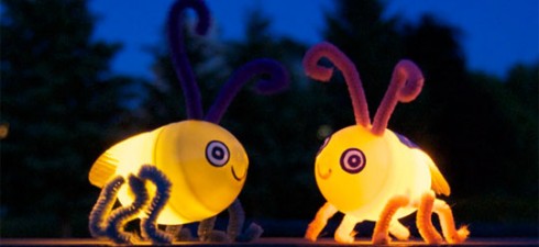 osagecitybugsnight