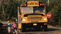 school bus school bus