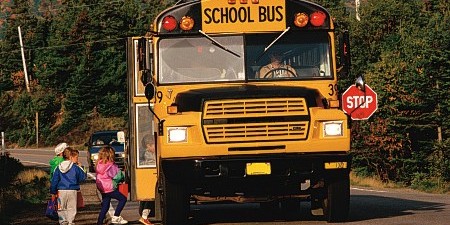 school bus school bus